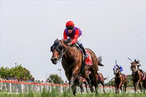 Double at Stony Creek! Radiant Success by 4.8l 9 Jan 2020 Double at Stony Creek! Radiant Success by 4.8l 9 Jan 2020